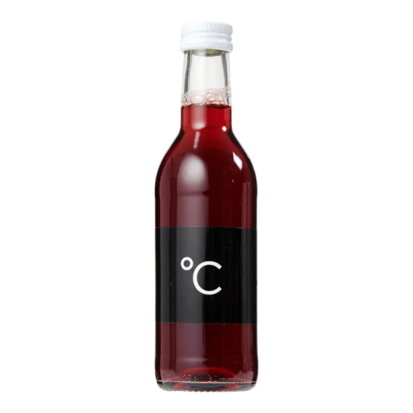 Water Concepts - Flasche Fruchtsaft Apfel-Kirsche mit Logo und Etikett