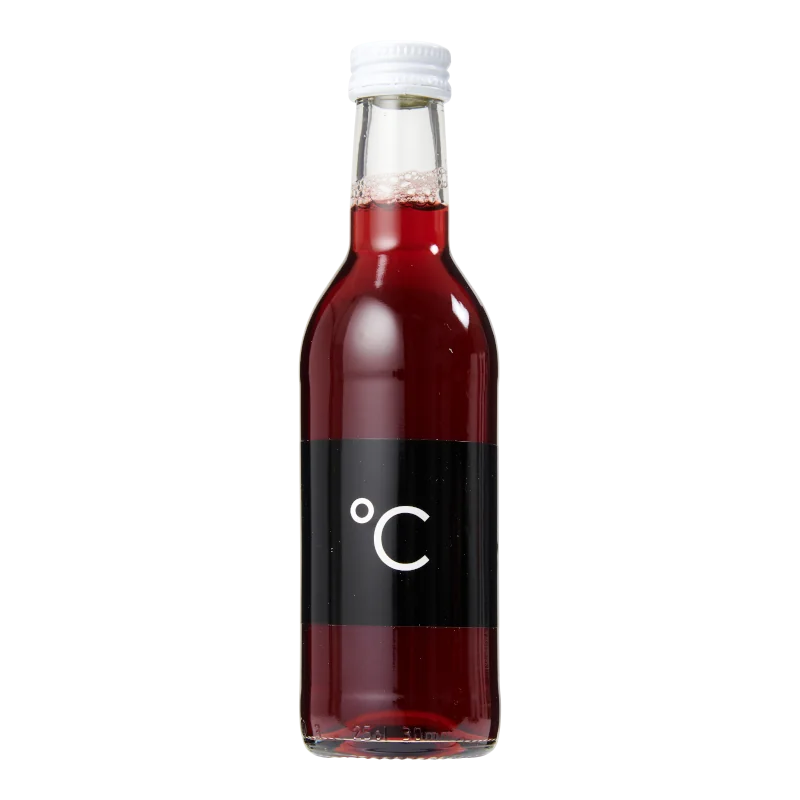 Water Concepts - Flasche Fruchtsaft Apfel-Kirsche mit Logo und Etikett