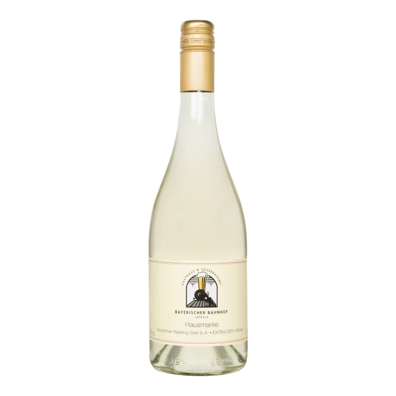 Wasserkonzepte – Flasche Secco Vino Frizzante Wein mit Logo und Etikett