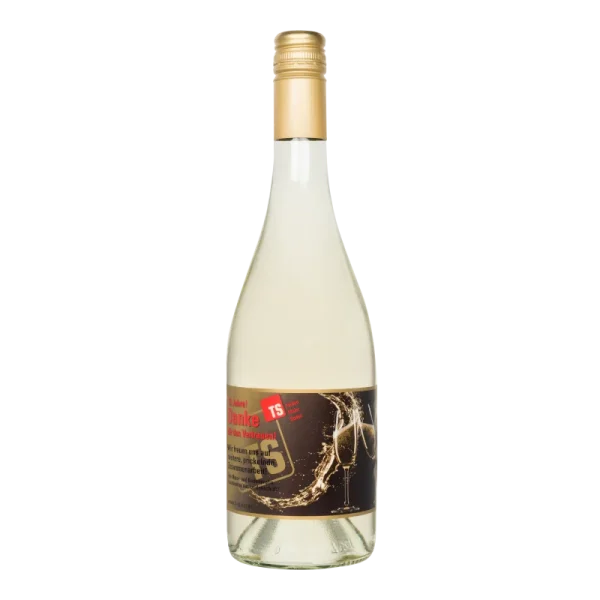 Wasserkonzepte – Flasche Secco Vino Frizzante Wein mit Logo und Etikett