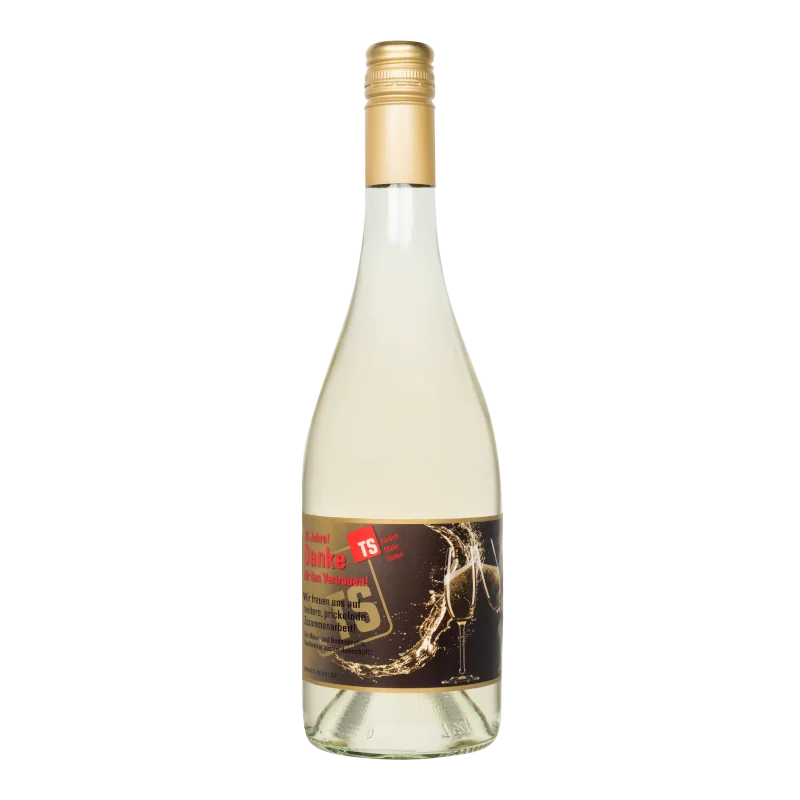 Wasserkonzepte – Flasche Secco Vino Frizzante Wein mit Logo und Etikett